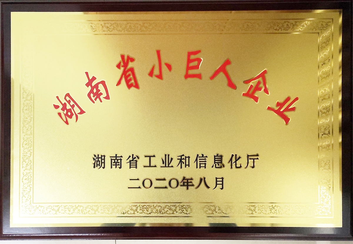 2020年湖南省小巨人企業(yè)獎牌.jpg